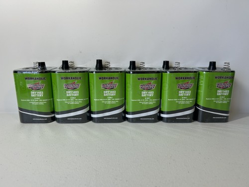 Interstate batteries - 6,